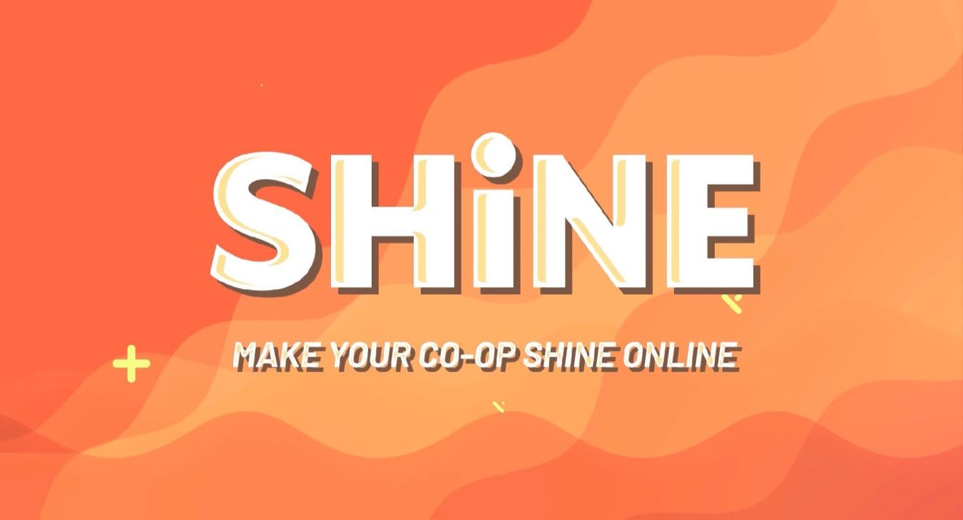 SHiNE Best Practices