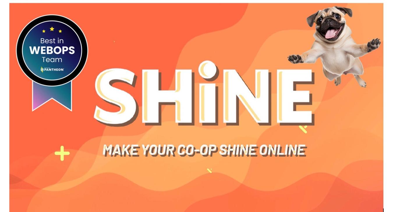 SHINE user manual